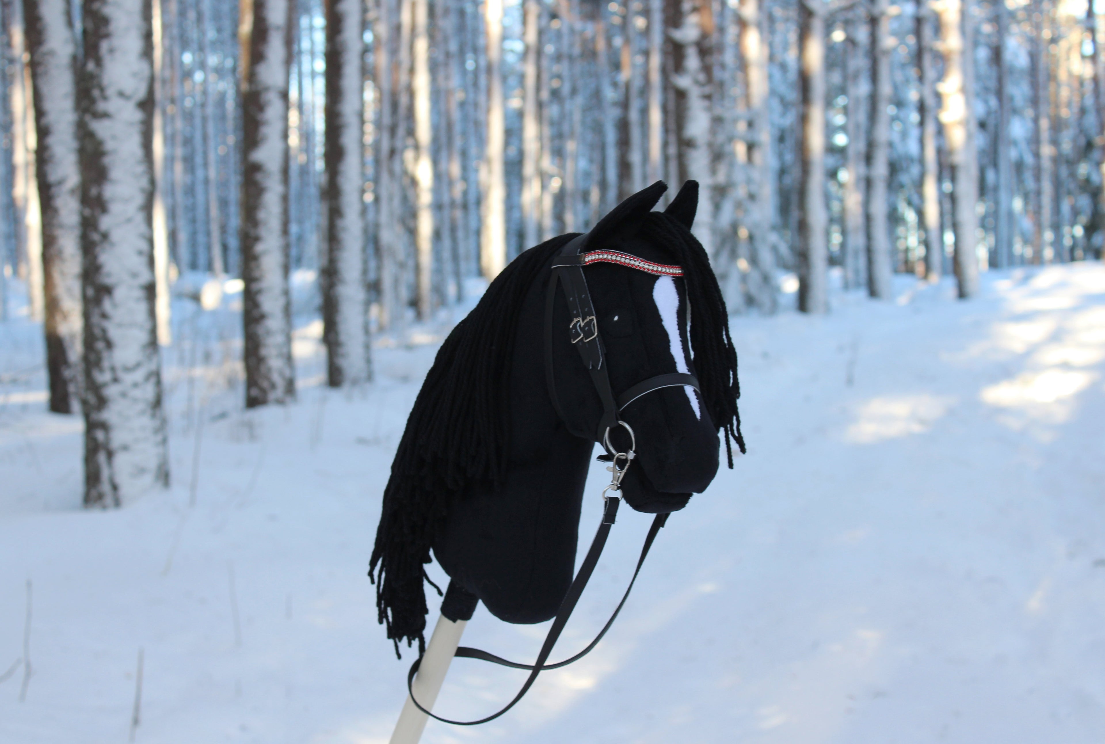 Musta keppihevonen suitsilla