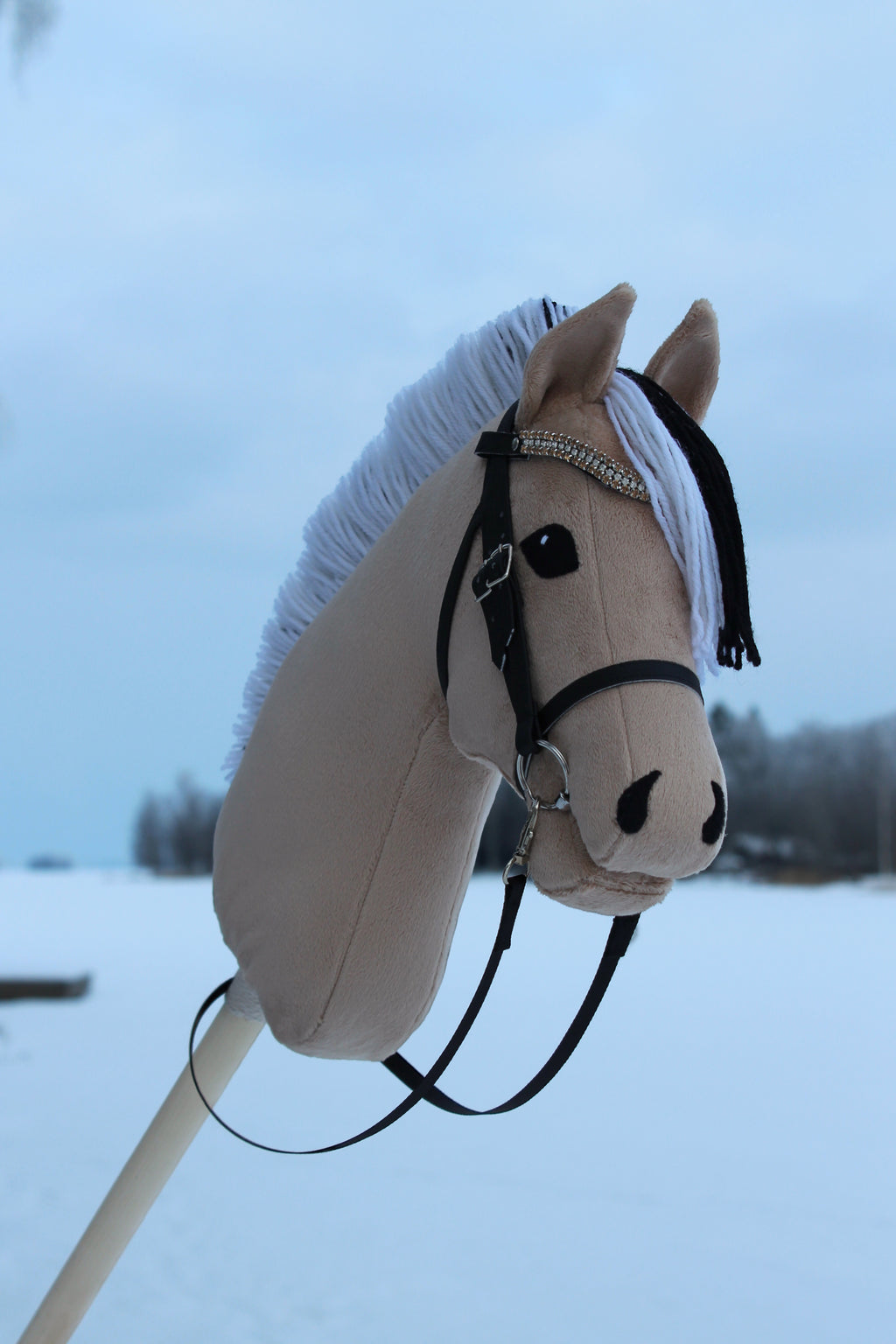 Vuonohevonen suitsilla