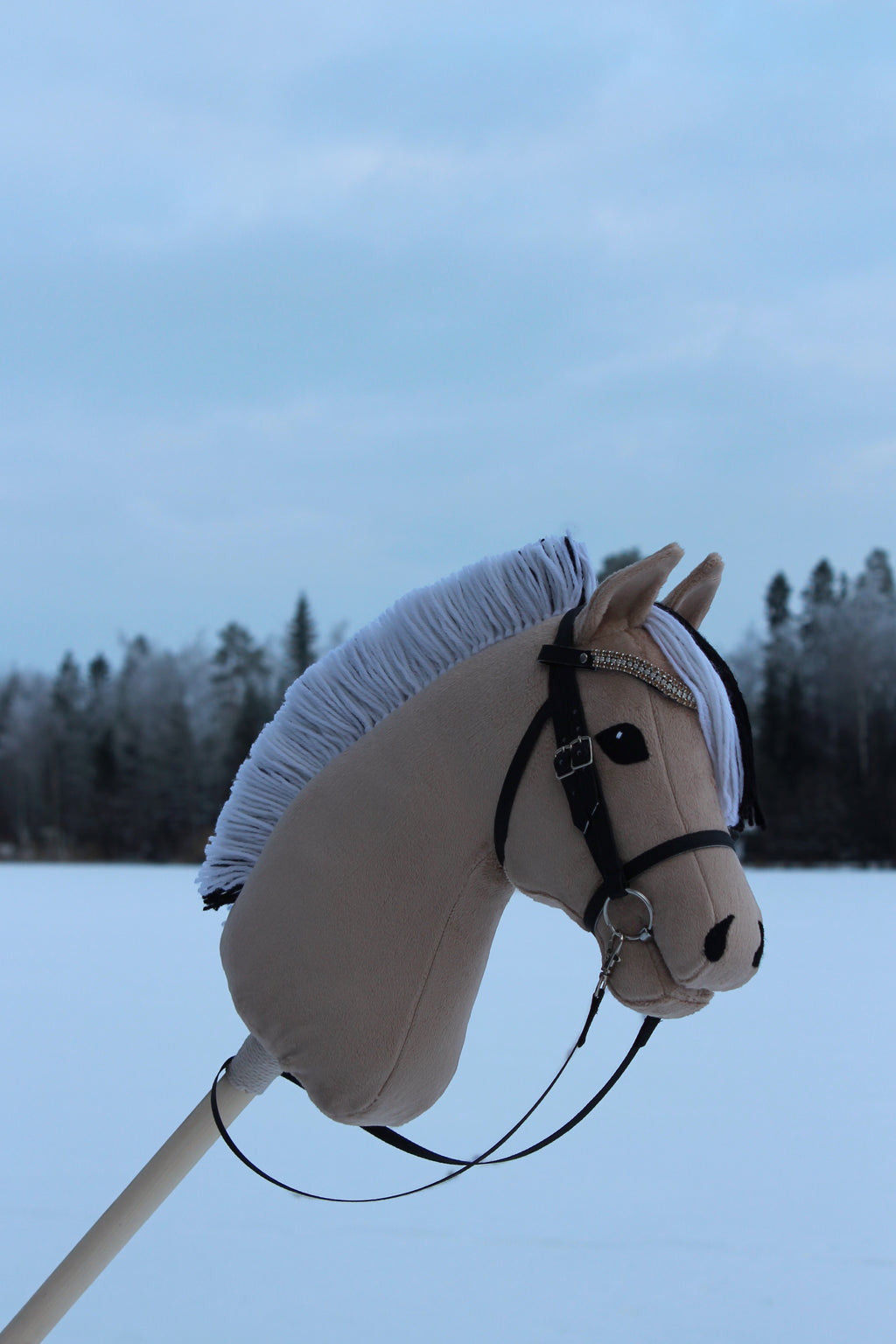 Vuonohevonen suitsilla