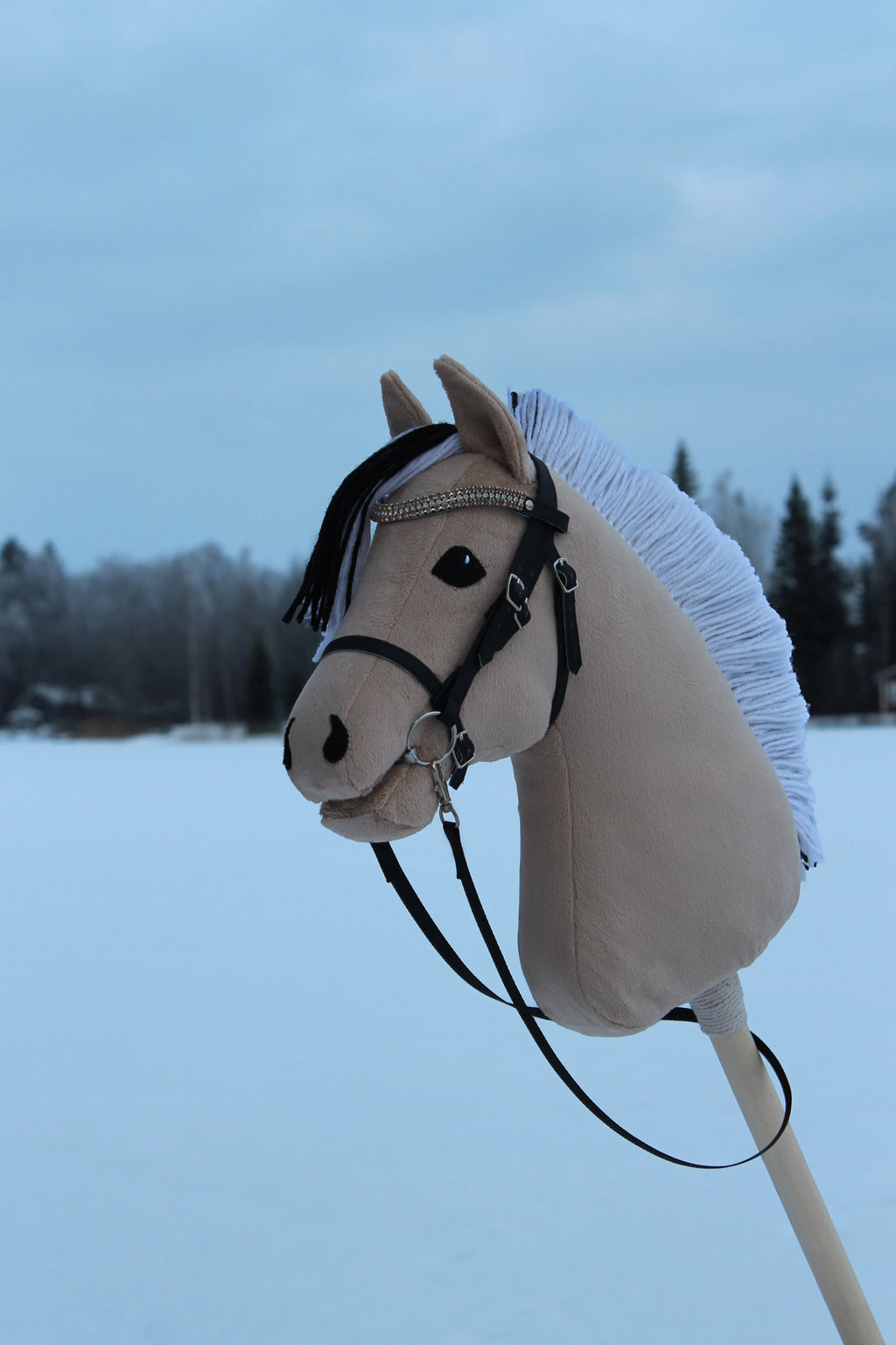 Vuonohevonen suitsilla